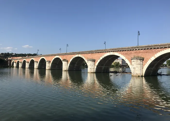Hôtel accueillant les animaux: Hôtel Le Chapon Fin