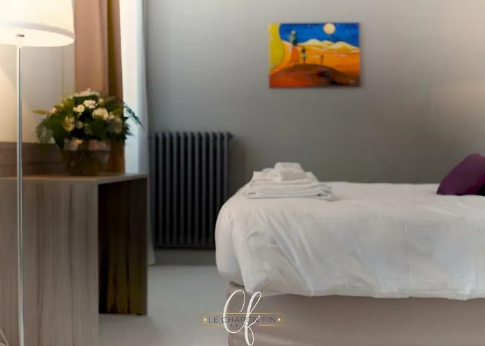 Hôtel accueillant les animaux: Hôtel Le Chapon Fin