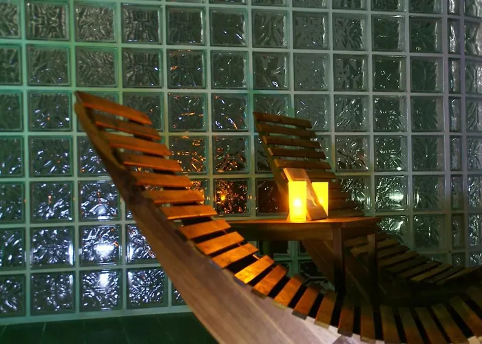 Hôtel accueillant les animaux: Hôtel Restaurant Le Pont Napoléon